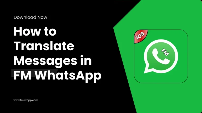 How to Translate Messages in FM WhatsApp